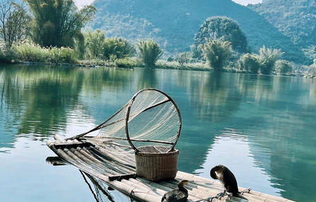 津南区心理咨询师证报考具体要求(津南区心理咨询师证报考要求)