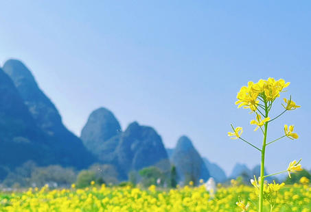 通化培训三级心理咨询师考试报名(通化三级心理咨询师报名)